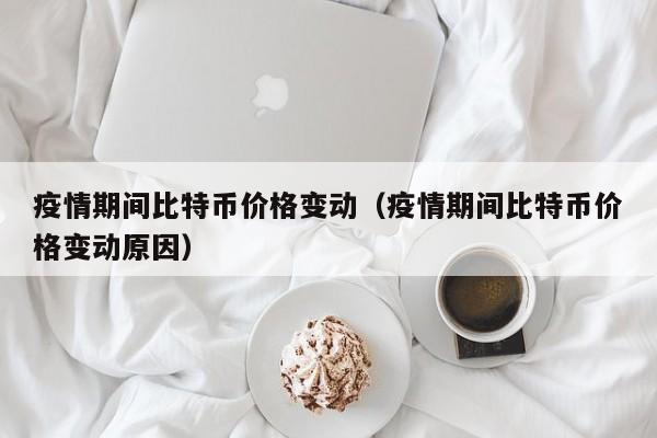疫情期间比特币价格变动(疫情期间比特币价格变动原因)