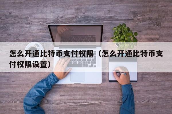 怎么开通比特币支付权限(怎么开通比特币支付权限设置)