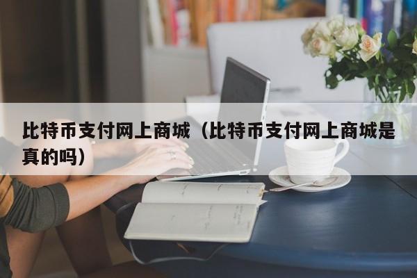 比特币支付网上商城(比特币支付网上商城是真的吗)