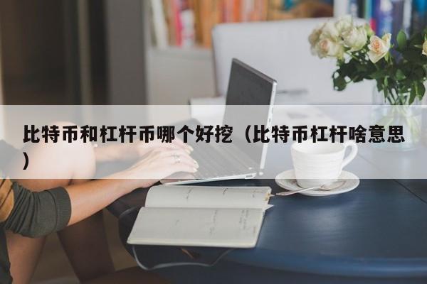 比特币和杠杆币哪个好挖(比特币杠杆啥意思)